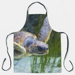 Schitterend Zee Schorrelschoppen Schort