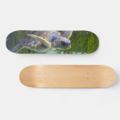 Schitterend Zee Schorrelschoppen Skateboard (Horizontaal)
