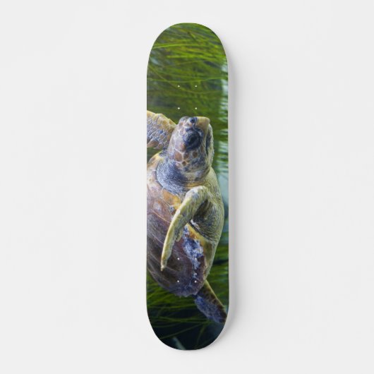 Schitterend Zee Schorrelschoppen Skateboard (Voorkant)