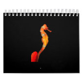 Schitterend zwempaard op voorzijde kalender (Hoes)