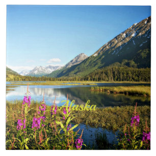 Schitterende Alaska, gelabeld, Tegeltje
