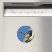 Schitterende Fairy Wren Magneet (Insitu (Vaatwasser))