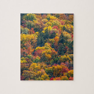 Schitterende herfstbladeren herfstlandschap foto legpuzzel