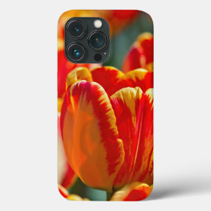 Schitterende kleuren Tulieren iPhone 13 Pro Hoesje