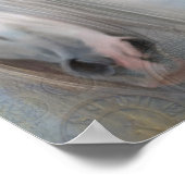 Schitterende ontkoppeling van paarden poster (Hoek)