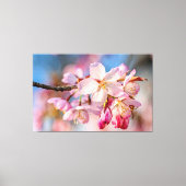 Schitterende Sakura Bloemen. Beige En Blauwe Achte Canvas Afdruk (Voorkant)