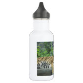 SCHITTERENDE TIJGER WATERFLES (Links)