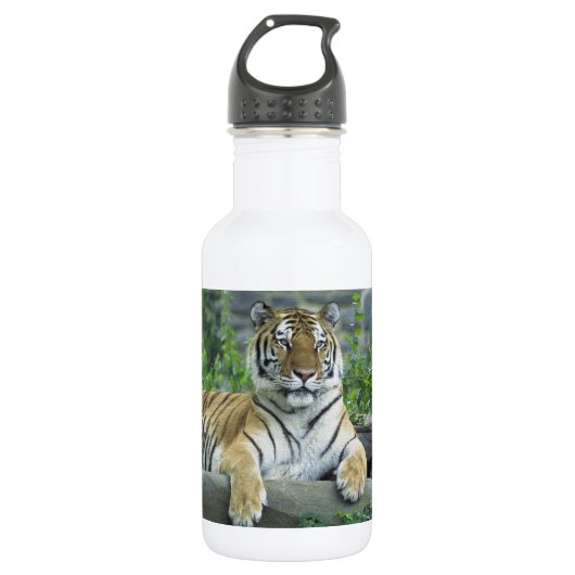 SCHITTERENDE TIJGER WATERFLES (Voorkant)