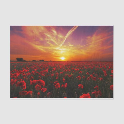 Schitterende zonsondergang op papaver tissuepapier (Voorkant)