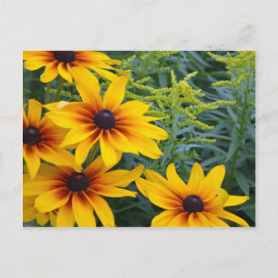 Schitterende zwarte onderzeese bloemtuin briefkaart
