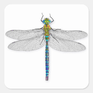 Schitterige Dragonfly Vierkante Sticker