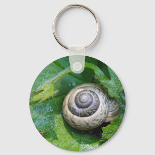 Schlüsselanhänger hübsche Schnecke Sleutelhanger