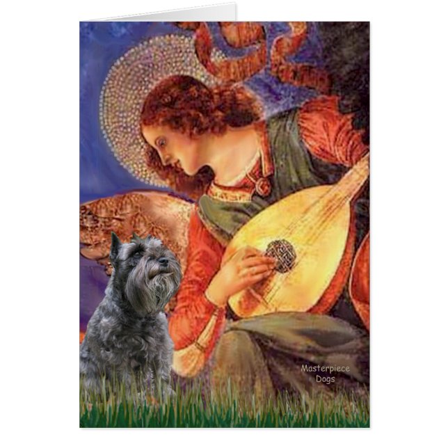 Schnauzer 12 - Mandolin Angel (Devant)