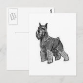 Schnauzer Briefkaart (Voorkant / Achterkant)