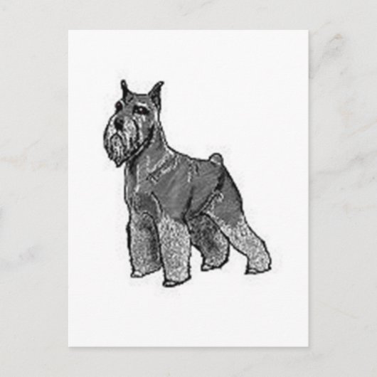 Schnauzer Briefkaart (Voorkant)