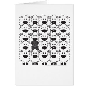 Schnauzer chez les moutons