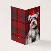 Schnauzer Chien de Noël avec carreau de fête rouge (Outside)