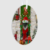 Schnauzer Chien Noël (devant)