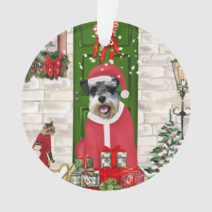 Schnauzer Chien Noël