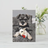 Schnauzer - Dank u - kaart (Staand voorkant)