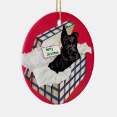 Schnauzer dans un ornement de boîte-cadeau (Droite)