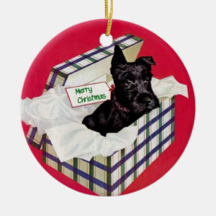 Schnauzer dans un ornement de boîte-cadeau