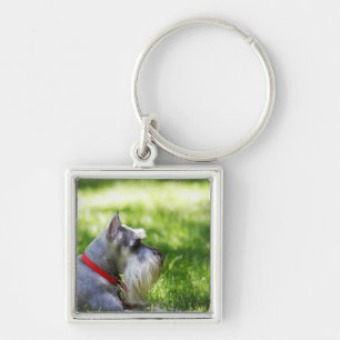 Schnauzer die in het gras ligt sleutelhanger