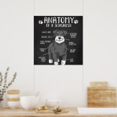 Schnauzer Dog Anatomy Best Dog Poster (Keuken)