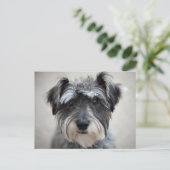 Schnauzer Dog Briefkaart (Staand voorkant)