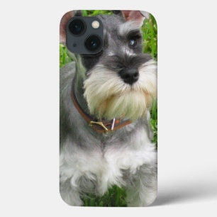 Schnauzer Dog iPhone 13 Hoesje