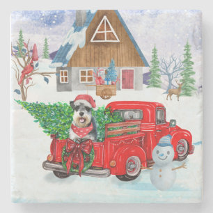 Schnauzer Dog in kerstcadeauwagen Stenen Onderzetter