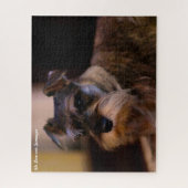 Schnauzer Dog Jigsaws. Jigsaw Puzzle Legpuzzel (Verticaal)