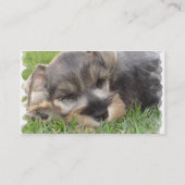 Schnauzer Dog Visitekaartje (Achterkant)