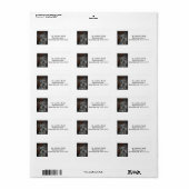 Schnauzer Étiquettes de adresse personnalisables n (Feuille entière)
