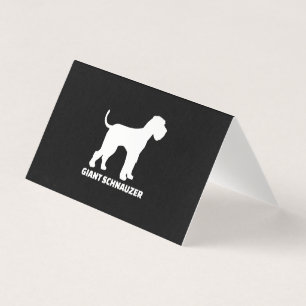 schnauzer géant de qualité supérieure