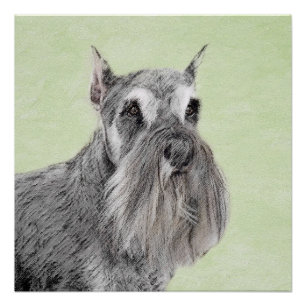 Schnauzer (Giant, Standard) Schnauzer - Dog Art Perfect Poster