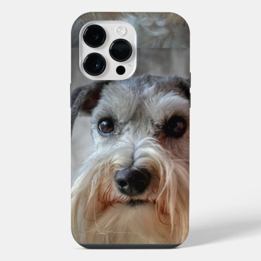 Schnauzer Hondengezicht iPhone Hoesje (Achterkant)
