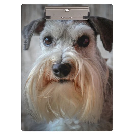 Schnauzer Hondengezicht Klembord (Voorkant)