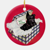 Schnauzer in een Gift Box Ornament (Achterkant)