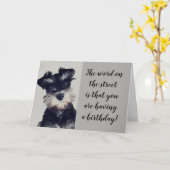 SCHNAUZER KAN HET NIEUWS NIET GELOVEN **50?** KAART (Gele Bloem)