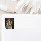 Schnauzer-kersttijdlabels Etiket (Insitu)