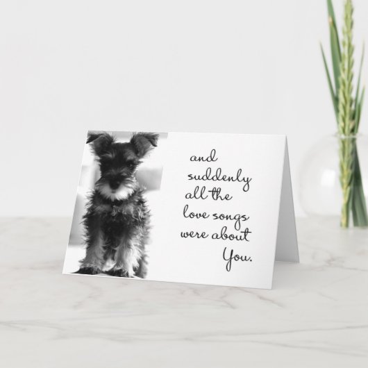 SCHNAUZER MAAKT HOESJE VOOR EEN "VALENTIJN WISH" KAART (Voorkant)