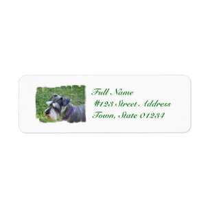 Schnauzer Mailing Labels