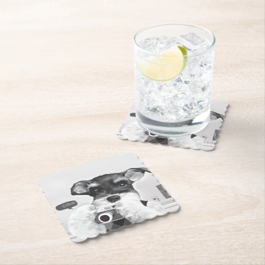 Schnauzer met camera kartonnen onderzetters (Insitu)