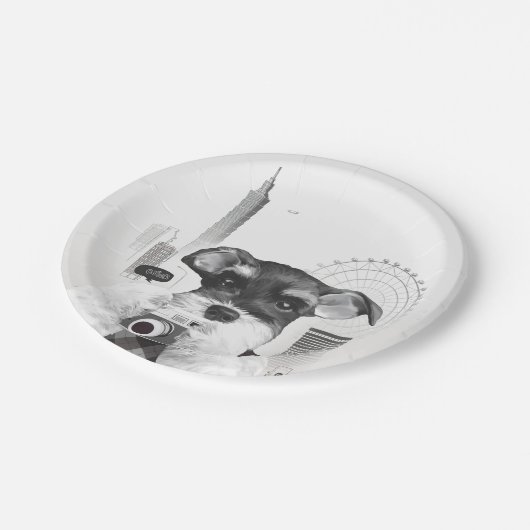 Schnauzer met camera papieren bordje (Gekanteld)