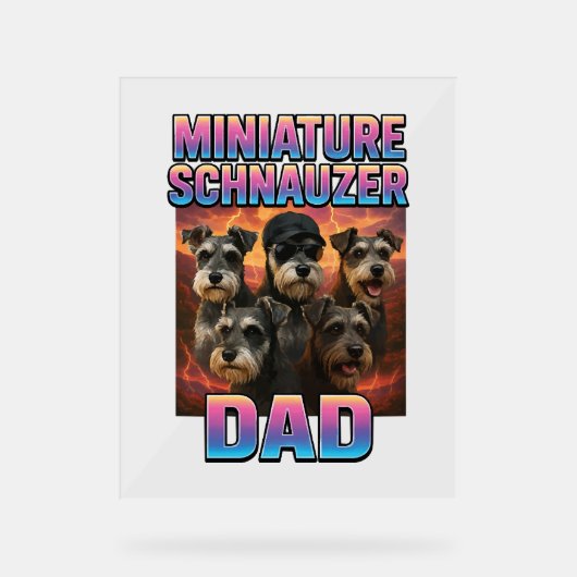 Schnauzer miniature (Recto)