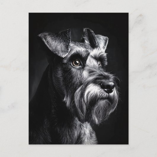 Schnauzer Monochrome Portrait Briefkaart (Voorkant)