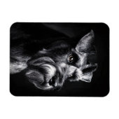 Schnauzer Monochrome Portrait Flexible Magneet (Horizontaal)