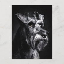 Schnauzer Monochroom Portret