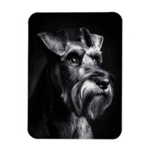Schnauzer Monochroom Portret Flexibel
